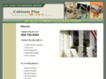 cabinetsplusmrfixit.com