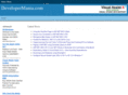 developermania.com