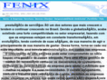 fenixservicos.net