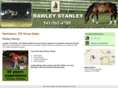 rawleystanley.com