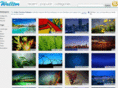 thewallpaperhunter.com
