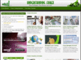 understandingforex.com