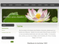 discoverdanbury.com