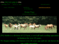 horse-around.com