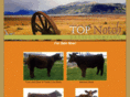 topnotchcattle.com