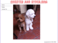 chesterandryder.com
