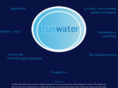 drinktruewater.com