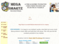 megasmartz.com