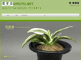 omoto.net