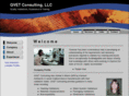 qvetconsulting.com