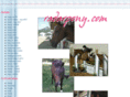 radarpony.com