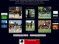 horses-for-sale.com