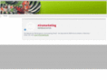 miraconsult.com