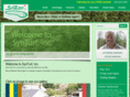 synturf.com