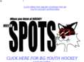bgyouthhockey.com