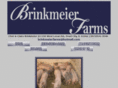 brinkmeierfarms.com