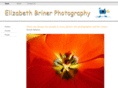 ebriner.com