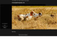 markpughphotography.com