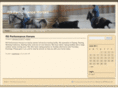 rsperformancehorses.com