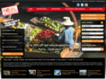 globalexperience.com