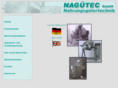 naguetec.com