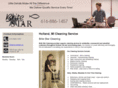 britestarcleaninginc.com