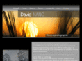 david-nano.com