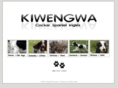 kiwengwa.es