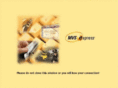 mvs-e-discoverer.com
