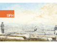 bfh-art.com