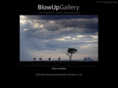 blowupgallery.com