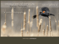imageryofdesign.com