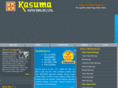 kasumabearings.com