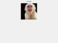 bsmwebs.com