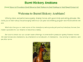 burnthickoryarabians.com