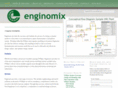 enginomics.com