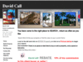 givedavidacall.com