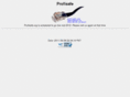 profisafe.org
