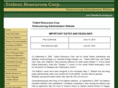 tridentrestructuring.com