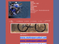 altaymotor.net