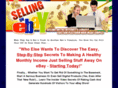 ebay-learn-money.com