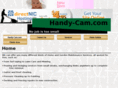 handy-cam.com