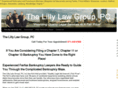 thelillylawgroup.com