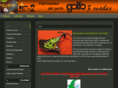 golfo3ruedas.com