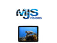 mjsvisions.com