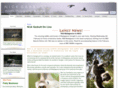 nickgarbutt.com