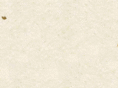 alvarobarcellos.com