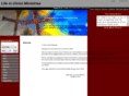lifeinchristministries.org