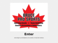 bruceprosports.com