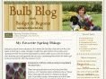 bulbblog.com